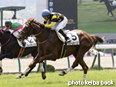 カラープリント(アルミ枠なし)2014年4月27日福島4R 障害未勝利(ドリームセーリング)