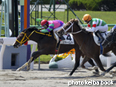 カラーパネル2014年5月4日京都1R 3歳未勝利(セフティーエムアイ)