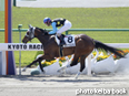 カラーパネル2014年5月11日京都1R 3歳未勝利(スターペスユウコ)