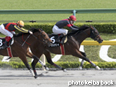 カラープリント(アルミ枠なし)2014年5月18日東京10R 青竜ステークス(ノースショアビーチ)