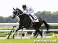 カラープリント(アルミ枠なし)2014年5月24日京都5R 3歳未勝利(キングストーン)