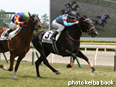 カラープリント(アルミ枠なし)2014年5月24日新潟6R 3歳未勝利(プレストウィック)