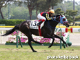 カラープリント(アルミ枠なし)2014年5月25日新潟5R 3歳未勝利(ハドソンヤード)