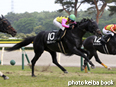 カラーパネル2014年5月25日新潟10R 荒川峡特別(タカノハーバー)