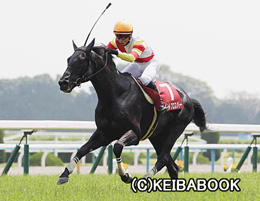 カラープリント(アルミ枠付き)2014年5月31日京都8R 京都ハイジャンプ(ルールプロスパー)