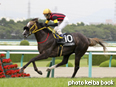 カラープリント(アルミ枠なし)2014年6月14日阪神10R 舞子特別(エイシンスパルタン)