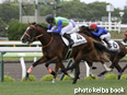 カラープリント(アルミ枠付き)2014年6月14日函館3R 3歳未勝利(ブラウンカイ)