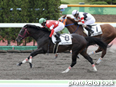 カラーパネル2014年6月14日函館4R 3歳未勝利(レッドアライヴ)