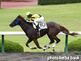 カラープリント(アルミ枠なし)2014年6月22日阪神1R 3歳未勝利(ケルンウィナー)