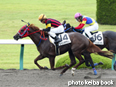 カラープリント(アルミ枠付き)2014年6月22日阪神2R 3歳未勝利(エイシンラナウェー)