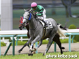 カラープリント(アルミ枠なし)2014年6月22日阪神8R 3歳上500万下(ルファルシオン)