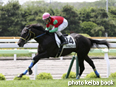 カラープリント(アルミ枠付き)2014年6月22日函館5R 2歳新馬(マイネルエスパス)