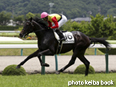 カラーパネル2014年7月6日福島5R 2歳新馬(フォワードカフェ)