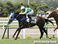 カラーパネル2014年7月6日函館3R 3歳未勝利(ベルモントラハイナ)