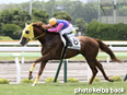 カラープリント(アルミ枠なし)2014年7月6日函館6R 3歳未勝利(メイショウビザン)