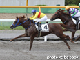 カラーパネル2014年7月12日函館1R 2歳未勝利(ラブミークン)