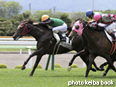 カラープリント(アルミ枠なし)2014年7月12日函館6R 3歳未勝利(クリノダイコクテン)