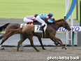 カラープリント(アルミ枠なし)2014年7月13日中京3R 3歳未勝利(サンタエヴィータ)