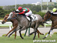 カラーパネル2014年7月20日函館1R 2歳未勝利(プラチナコード)