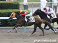 カラーパネル2014年7月26日札幌2R 3歳未勝利(コロナボレアリス)