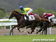 カラープリント(アルミ枠なし)2014年8月2日小倉1R 2歳未勝利(ゼンノイザナギ)