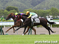 カラーパネル2014年8月2日小倉5R 2歳新馬(メイショウオヤシオ)