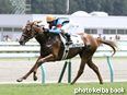 カラープリント(アルミ枠付き)2014年8月2日札幌5R 2歳新馬(シンフォニア)