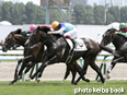 カラーパネル2014年8月3日札幌5R 2歳新馬(アドマイヤガスト)