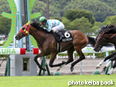 カラーパネル2014年8月9日小倉9R 都井岬特別(クロニクルスカイ)