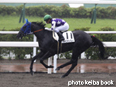 カラープリント(アルミ枠なし)2014年8月10日小倉8R 3歳上500万下(キャニオンバレー)