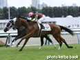 カラープリント(アルミ枠なし)2014年8月10日札幌5R 2歳新馬(カービングパス)