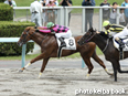 カラープリント(アルミ枠付き)2014年8月10日札幌6R 2歳新馬(スマートボムシェル)