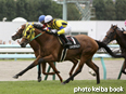 カラーパネル2014年8月10日札幌10R 大倉山特別(リメインサイレント)