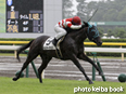 カラープリント(アルミ枠付き)2014年8月16日新潟4R 3歳未勝利(トレジャーマップ)