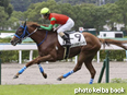 カラープリント(アルミ枠付き)2014年8月17日小倉4R 3歳未勝利(マイネボニータ)