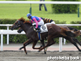 カラーパネル2014年8月17日小倉8R 3歳上500万下(メイショウワコン)