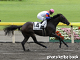 カラーパネル2014年8月17日新潟6R 2歳新馬(グラスエトワール)