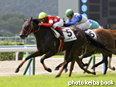 カラーパネル2014年8月23日小倉8R 3歳上500万下(レッドオリヴィア)