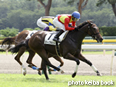 カラープリント(アルミ枠なし)2014年8月24日新潟1R 2歳未勝利(スマートプラネット)