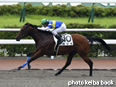 カラープリント(アルミ枠付き)2014年9月6日小倉8R 3歳上500万下(カジキ)