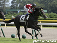 カラーパネル2014年9月6日新潟5R 2歳新馬(ストリートキャップ)