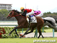 カラープリント(アルミ枠付き)2014年9月20日阪神5R 2歳新馬(アスカビレン)