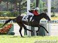 カラープリント(アルミ枠付き)2014年9月20日新潟1R 2歳未勝利(スミレタンポポ)