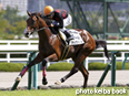 カラープリント(アルミ枠なし)2014年9月21日阪神1R 2歳未勝利(ブラックバード)