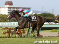 カラープリント(アルミ枠なし)2014年9月27日阪神10R 夕月特別(シャトーブランシュ)