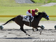 カラーパネル2014年9月27日新潟4R 3歳未勝利(ゴールドリーガル)