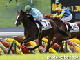 カラープリント(アルミ枠付き)2014年10月14日京都4R 2歳新馬(グレイスフルワード)