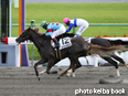 カラーパネル2014年10月14日京都12R 3歳上500万下(スペシャルギフト)