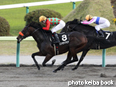 カラープリント(アルミ枠なし)2014年10月18日福島12R 鳴子特別(コスモラヴモア)