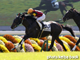 カラープリント(アルミ枠付き)2014年10月19日京都5R 2歳新馬(エイシンライダー)